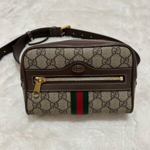 Gucci Small Ophidia Belt Bag